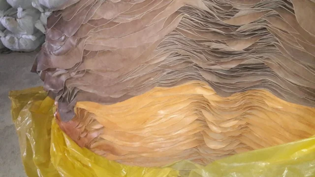 Nesa & Mia Leather Trade BD.- Leather exporter in Dhaka, Bangladesh.2