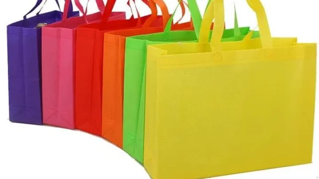 Trishna Non Woven Tissue Bag Factory – Manufacturer in Keraniganj Upazila, Bangladesh.5